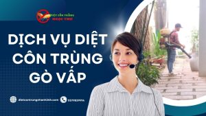 Dịch vụ diệt côn trùng tại Gò Vấp