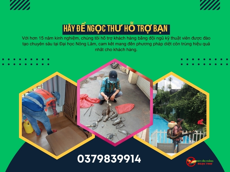 Công ty dịch vụ diệt côn trùng Tại Gò Vấp