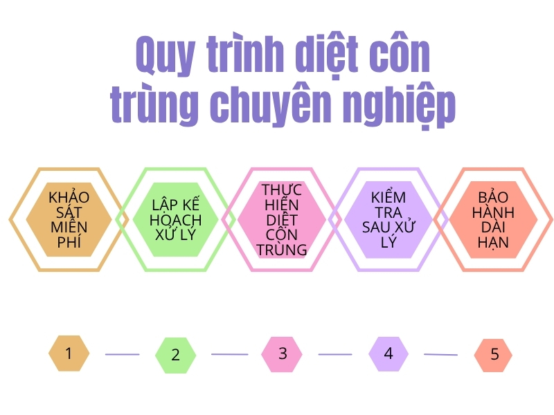 Quy trình diệt côn trùng Gò Vấp chuyên nghiệp