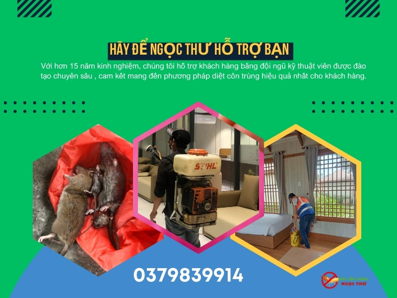 Dịch vụ diệt côn trùng Phường Sài Gòn, diệt muỗi, gián, mối, chuột tại TP.HCM 3 Dịch vụ diệt côn trùng tại phường Sài Gòn uy tín, sử dụng phương pháp quản lý dịch hại IPM