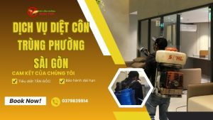 Dịch vụ diệt côn trùng phường Sài Gòn TP.HCM