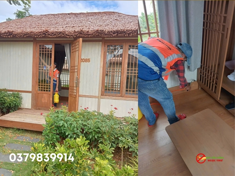 Dịch vụ diệt côn trùng Phường Sài Gòn, diệt muỗi, gián, mối, chuột tại TP.HCM 4 Công ty dịch vụ diệt côn trùng tại phường Sài Gòn uy tín, sử dụng phương pháp quản lý dịch hại IPM