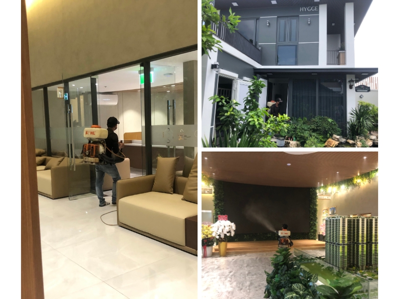 Dịch vụ diệt côn trùng phường Tân Định chuyên nghiệp