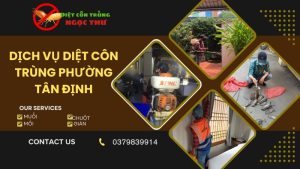 Dịch vụ diệt côn trùng phường Tân Định