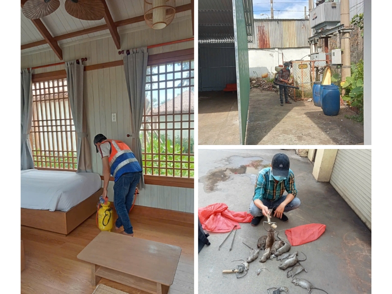 Dịch vụ diệt côn trùng phường Tân Định, giá cả cạnh tranh