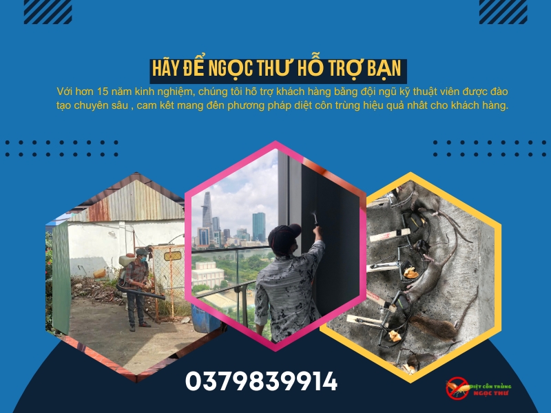 Dịch vụ diệt côn trùng quận 12, uy tín, chất lượng hàng đầu
