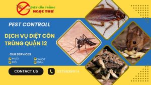 Dịch vụ diệt côn trùng quận 12 giá rẻ