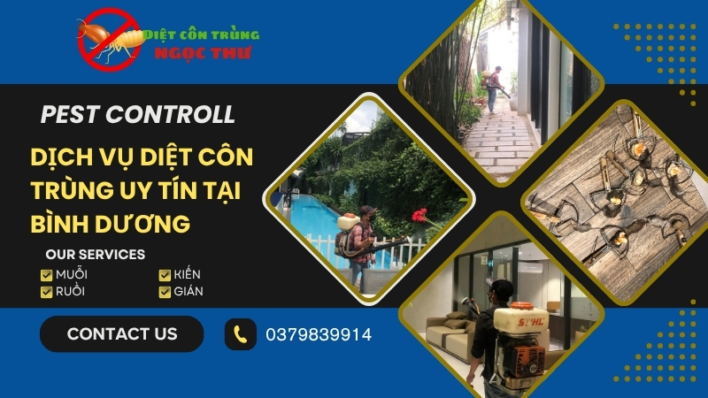 Dịch vụ diệt côn trùng tại Bình Dương