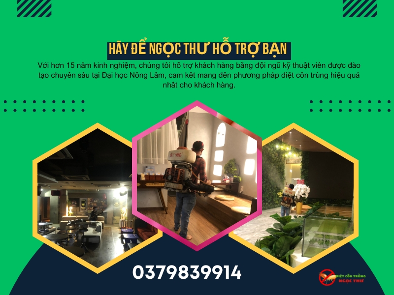 Công ty dịch vụ diệt côn trùng Ngọc thư cung cấp dịch vụ diệt côn trùng tại Bình Dương
