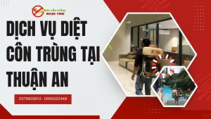 Dịch vụ diệt côn trùng tại Thuận An, Bình Dương, TPHCM