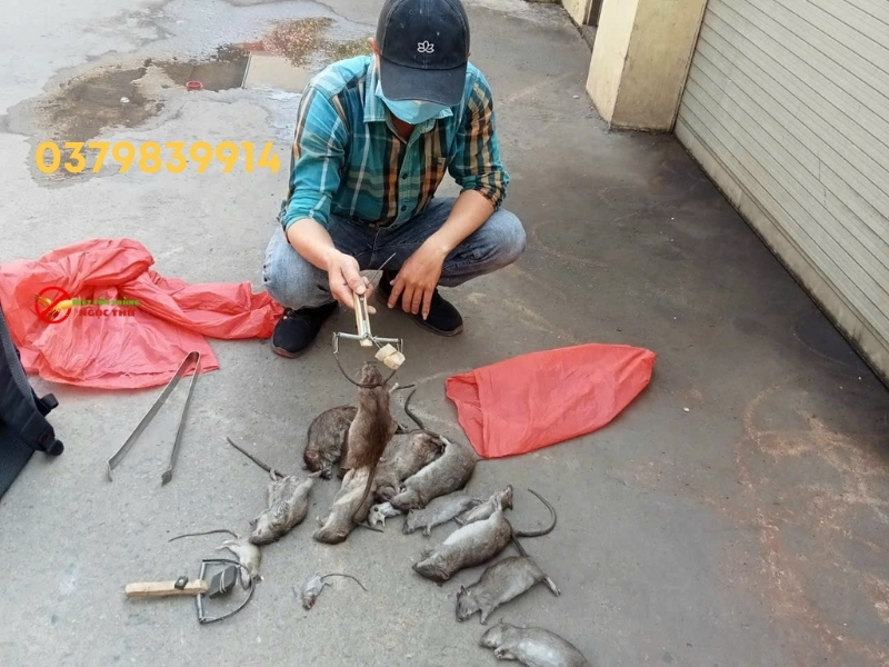 Dịch vụ diệt côn trùng tại Thuận An của Ngọc Thư với đội ngũ chuyên gia được đào tạo bài bản