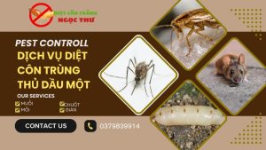 Dịch vụ diệt côn trùng Thủ Dầu Một