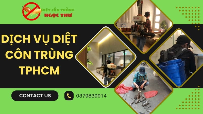 DỊCH VỤ DIỆT CÔN TRÙNG TPHCM 【24/7】 1 Dịch vụ diệt côn trùng TPHCM
