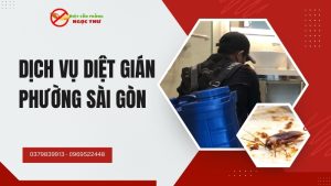 Dịch vụ diệt gián phường Sài Gòn, TP.HCM