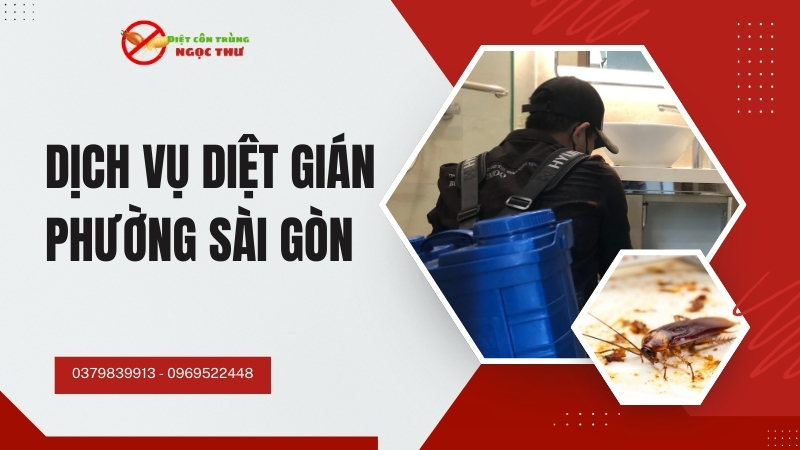 Dịch Vụ Diệt Gián Phường Sài Gòn, Diệt Côn Trùng Số 1 Sài Gòn 1 Dịch vụ diệt gián phường Sài Gòn, TP.HCM