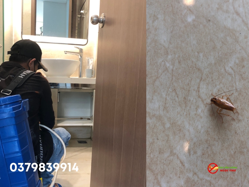 Dịch Vụ Diệt Gián Phường Sài Gòn, Diệt Côn Trùng Số 1 Sài Gòn 2 Dịch vụ diệt gián tại phường Sài Gòn, công ty diệt côn trùng số 1 Sài Gòn