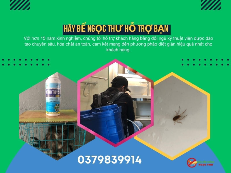 dịch vụ diệt gián phường Tân Định, TPHCM