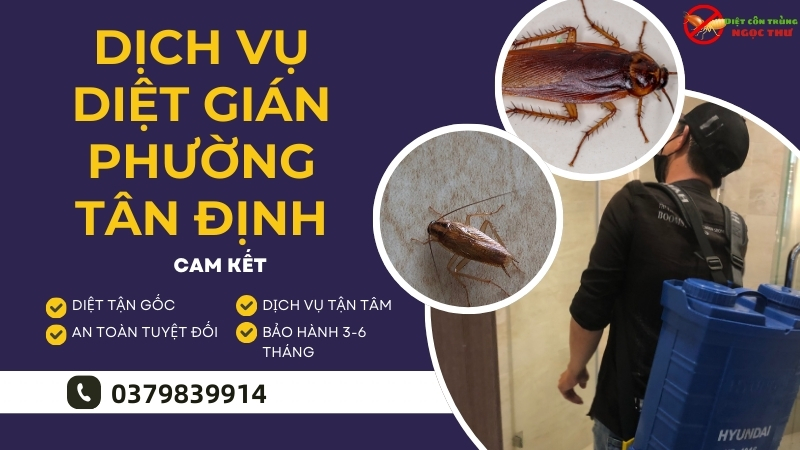 Dịch vụ diệt gián phường Tân Định