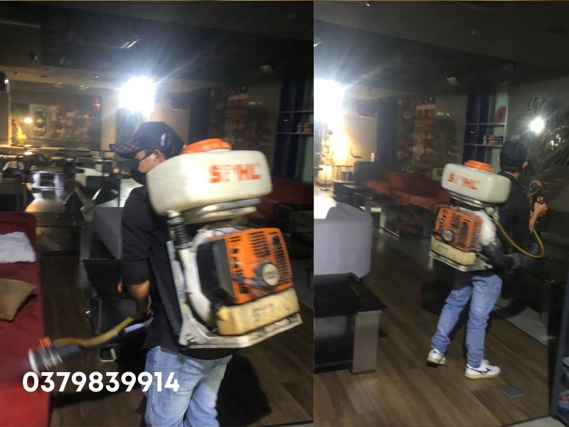 dịch vụ diệt gián phường Tân Định, Dịch vụ diệt gián chuyên nghiệp Ngọc Thư