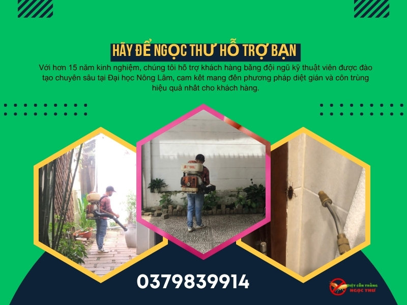 Công ty diệt côn trùng Ngọc Thư cung cấp dịch vụ diệt gián quận 12, uy tín, chuyên nghiệp, diệt gián tận gốc