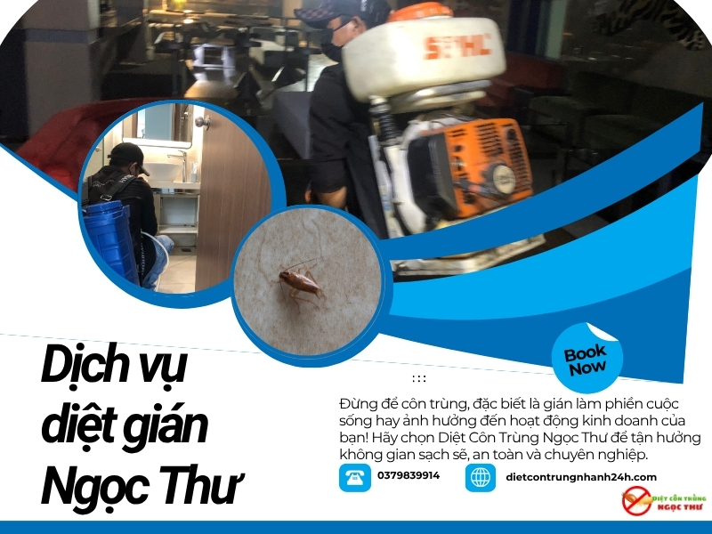 Lợi ích của khách hàng khi sử dụng dịch vụ diệt gián quận 12 của Ngọc Thư