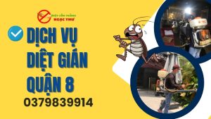 Dịch vụ diệt gián tận gốc Ngọc Thư