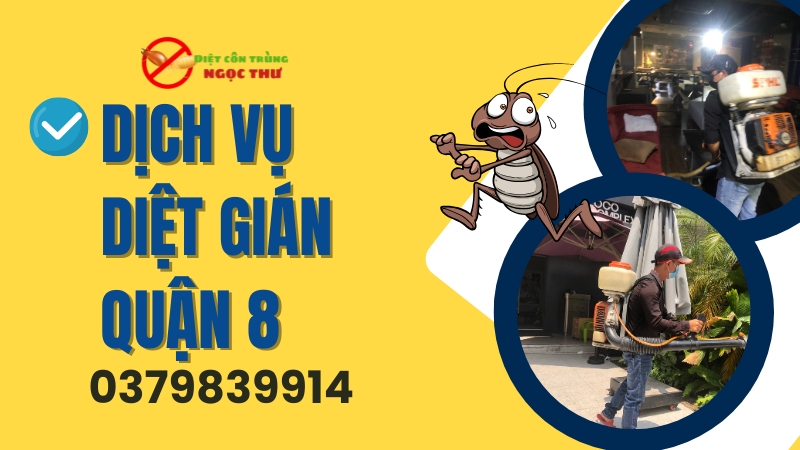 Dịch vụ diệt gián tận gốc Ngọc Thư