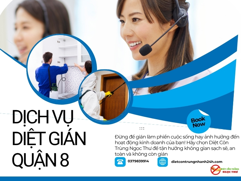 dịch vụ diệt gián quận 8 Ngọc Thư, Cam kết lbaor hành 3-6 tháng