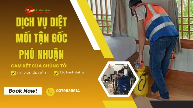 Dịch vụ diệt mối tận gốc tại quận Phú Nhuận