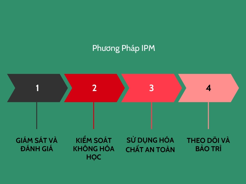 Diệt mối bằng phương pháp IPM