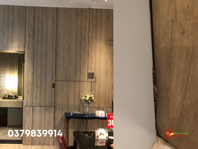 Cam kết chất lượng dịch vụ diệt mối tại Phú Nhuận của Ngọc Thư