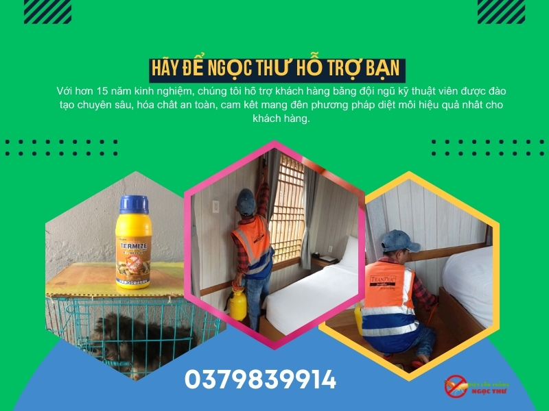 Dịch vụ diệt mối phường Sài Gòn, diệt mối tận gốc với hóa chất an toàn