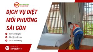 Dịch vụ diệt mối phường Sài Gòn