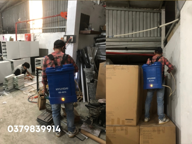 Phương pháp diệt mối hiệu quả tại diệt côn trùng Ngọc thư