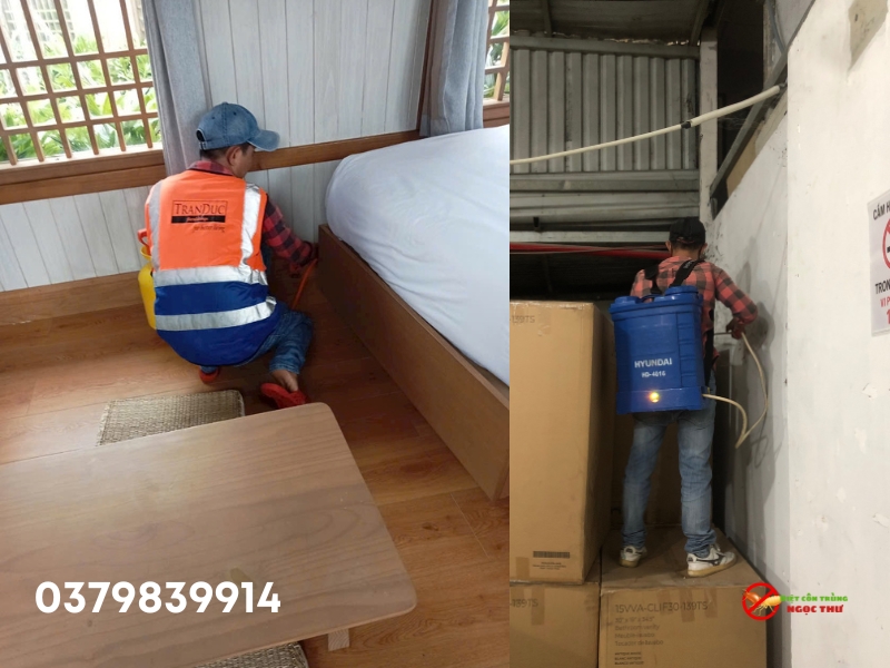 Dịch Vụ Diệt Mối Tân Bình Giá Rẻ【Bảo Hành 1 Năm】 2 Dịch vụ diệt mối Tân Bình, TPHCM giá rẻ