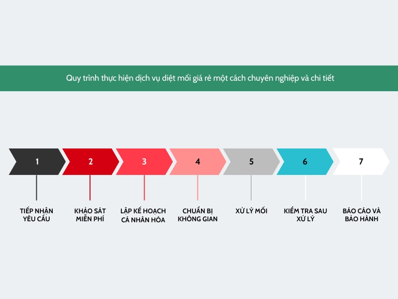 Dịch Vụ Diệt Mối Tân Bình Giá Rẻ【Bảo Hành 1 Năm】 4 Quy trình dịch vụ diệt mối Tân Bình giá rẻ