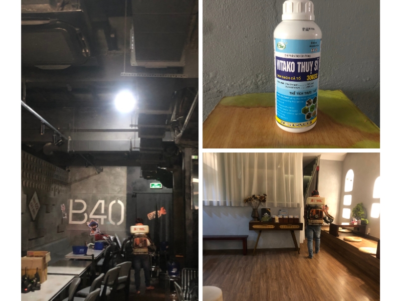 Dịch Vụ Phun Thuốc Diệt Muỗi Phường Tân Định Uy Tín Nhất 2 Dịch vụ phun thuốc diệt muỗi phường Tân Định