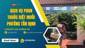 Dịch vụ phun thuốc diệt muỗi phường Tân Định