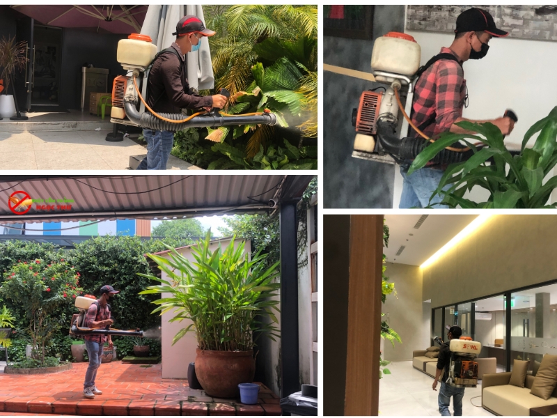 Dịch vụ phun thuốc muỗi không mùi, hóa chất đạt chuẩn quốc tế, được bộ y tế cấp phép