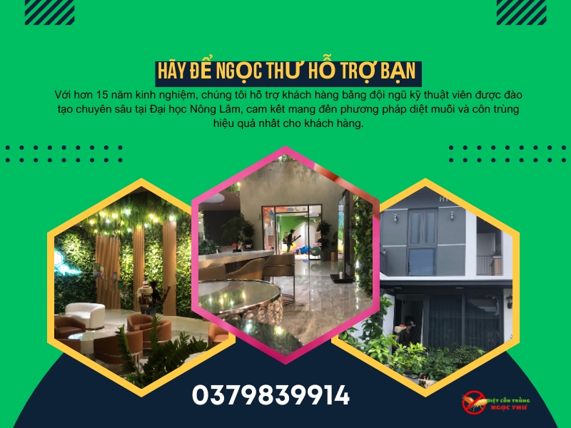 Lợi ích vượt trội của Ngọc Thư đối với dịch vụ phun thuốc muỗi quận 4 giá rẻ