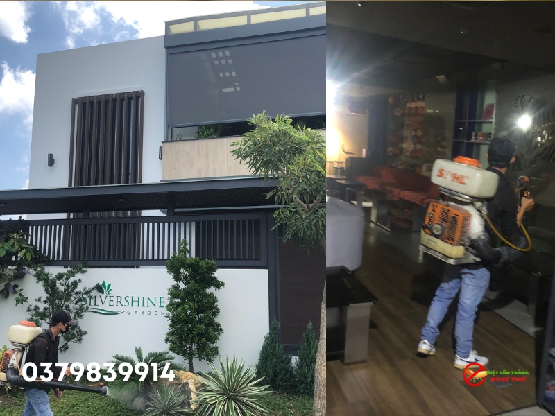 Dịch Vụ Phun Thuốc Muỗi Quận 5 Giá Rẻ, Hóa Chất Không Mùi 3 Dịch vụ phun thuốc muỗi quận 5 giá rẻ, hóa chất không mùi, an toàn cho con người và vật nuôi