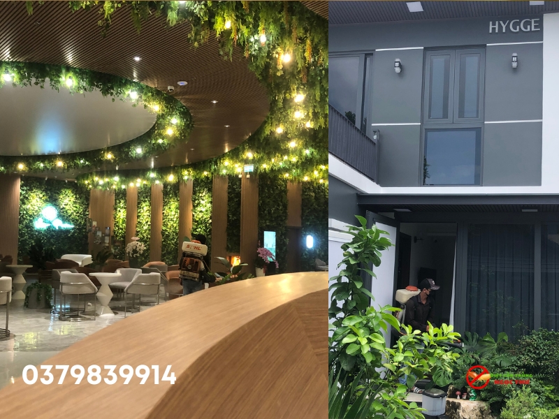 Dịch Vụ Phun Thuốc Muỗi Quận 5 Giá Rẻ, Hóa Chất Không Mùi 2 Dịch vụ phun thuốc muỗi quận 5 giá rẻ, hóa chất không mùi