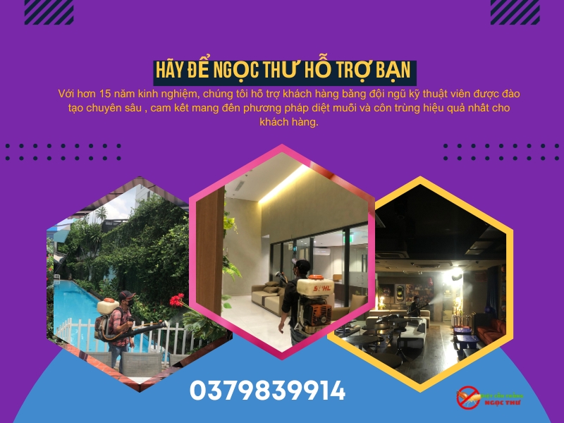 Lý Do Nên Chọn Dịch Vụ Phun Thuốc Muỗi Quận 6 Của Ngọc Thư