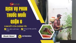 Dịch vụ phun thuốc muỗi quận 6 chuyên nghiệp