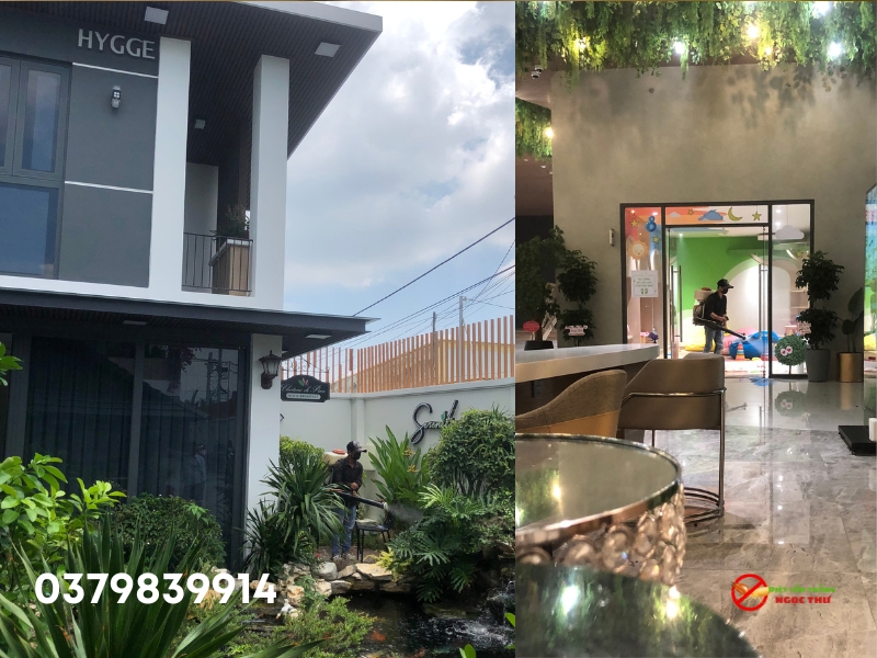 Dịch vụ phun thuốc muỗi quận 6 Ngọc Thư với quy trình chuyên nghiệp