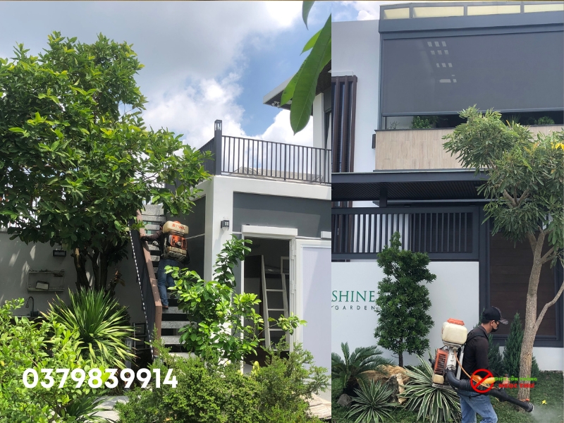 Dịch vụ phun thuốc muỗi quận 6 Ngọc Thư