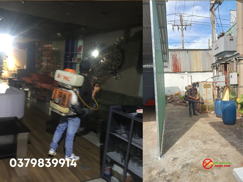 Dịch vụ phun thuốc muỗi quận 6, diệt muỗi tận gốc