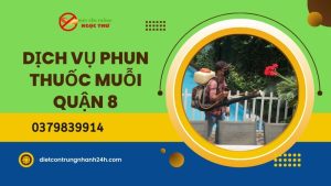 Dịch vụ phun thuốc diệt muỗi quận 8