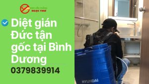 Dịch vụ diệt gián Đức tận gốc tại Bình Dương
