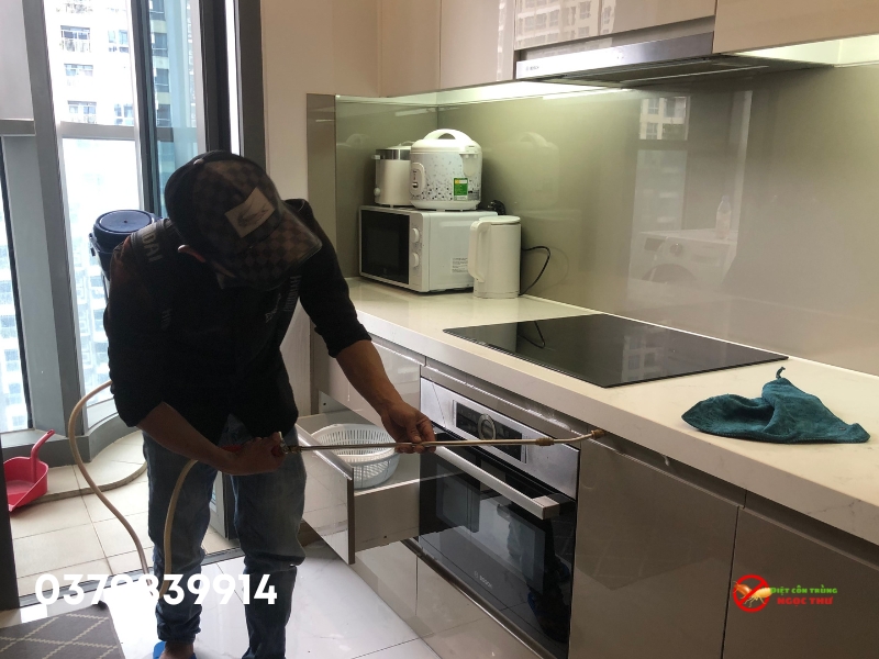 Xử dụng bình xịt diệt gián Mỹ, hiệu quả cao hơn các phương pháp thông thường